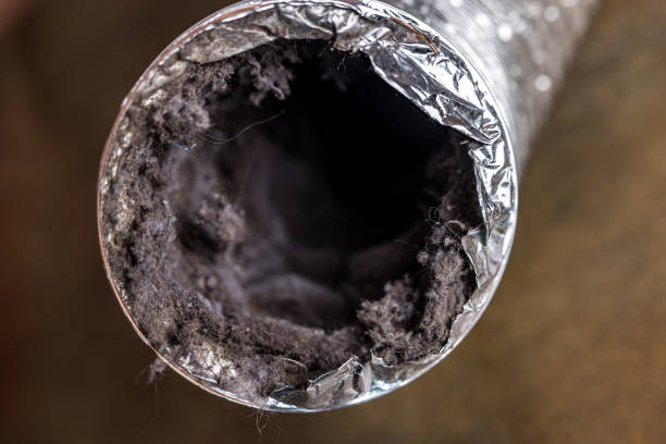 Best Professional Duct Cleaning Services  in Dike, IA